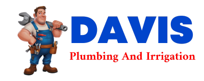 Trusted plumber in PACOLET